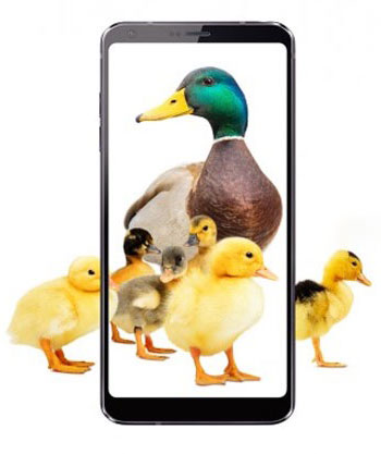 Telus